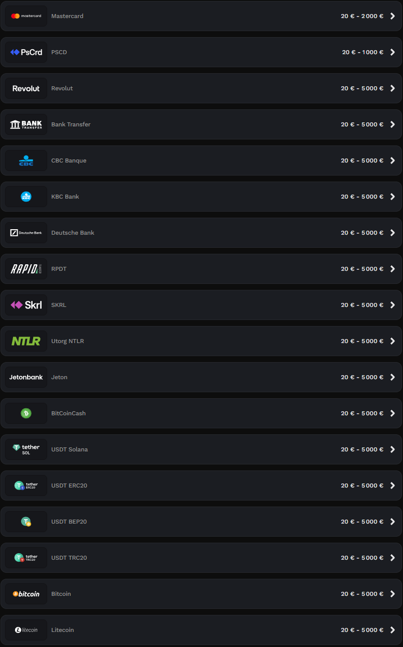 Wildsino Casino Payments
